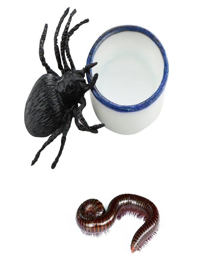 DQITJ 9 Pcs Spider Micro Water Bowl Tarantula Mini Ceramic Dish for Tarantula Spider Millipede Tiny Bugs (Small Size: 0.86" D, 0.43" H) - Image 2